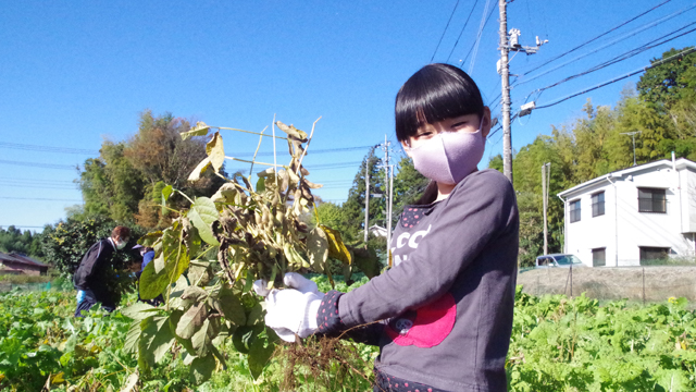 �݂ǂ�}���̎��n