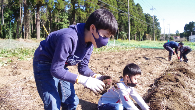 �݂ǂ�}���̎��n