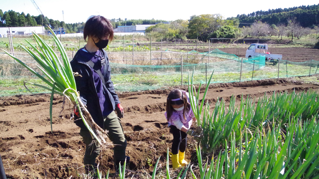 �݂ǂ�}���̎��n