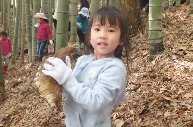 竹の子掘り