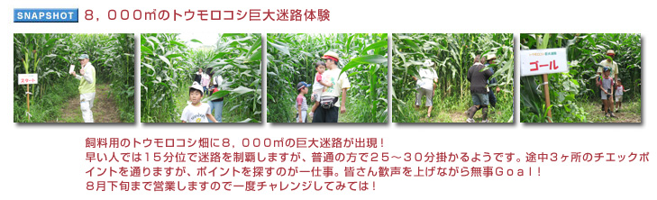 8,000�u�̃g�E�����R�V������H�̌�