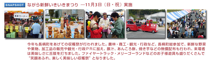 �Ȃ���V�N���������܂�11��3���i���E�j�j���{