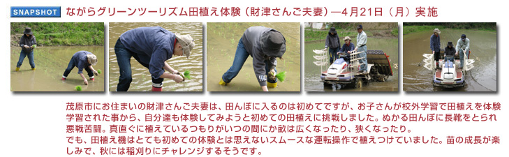 �Ȃ���O���[���c�[���Y���c�A���̌��i���Â��񂲕v�ȁj4��21���i���j���{