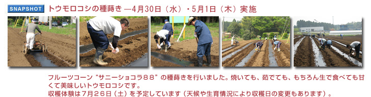 �g�E�����R�V�̎펪��4��30���i���j�E5��1���i�؁j���{