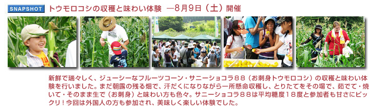 �g�E�����R�V�̎��n�Ɩ��킢�̌�8��9���i�y�j���{