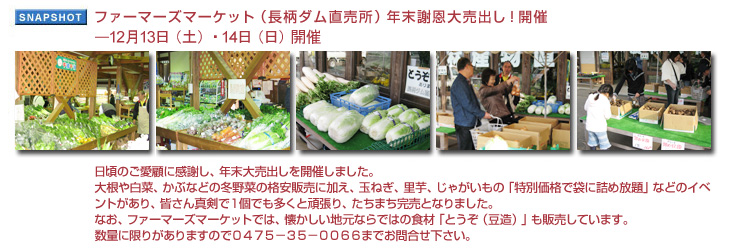 �t�@�[�}�[�Y�}�[�P�b�g�i�����_���������j�N���Ӊ��唄�o���I�J��