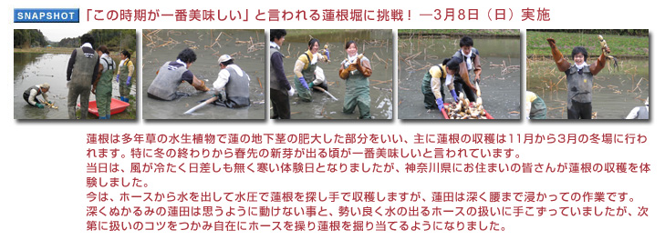 �u���̎�������Ԕ��������v�ƌ�����@���x�ɒ���I3��8���i���j���{