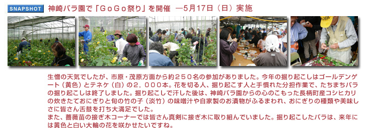 �_��o�����Łu�f���f���Ղ�v���J��5��17���i���j���{