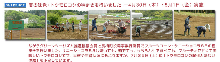 �Ă̖��o�E�g�E�����R�V�̎�܂����s���܂����B4��30���i�؁j�E5��1���i���j���{