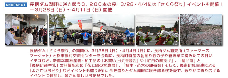 �����_���ΔȂɍ炫�����R�C�Q�O�O�{�̍��B�R�^�Q�W�E�S�^�S�ɂ́u������Ղ�v�C�x���g���J�ÁI