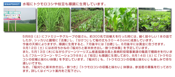 ����Ƀg�E�����R�V��}���������ɐ��炵�Ă��܂��B