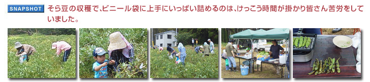 ���瓤�̎��n�ŁA�r�j�[���܂ɏ��ɂ����ς��l�߂�̂́A�����������Ԃ��|����F�����J�����Ă��܂����B