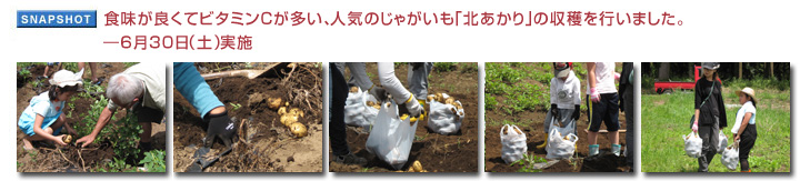 �H�����ǂ��ăr�^�~���b�������A�l�C�̂��Ⴊ�����u�k������v�̎��n���s���܂����B6��30���i�y�j���{