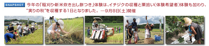 ���N�̢���E�V�Đ����o���݂���̌��́A�C�`�W�N�̎��n�ƌI�E���i�̌���]�ҁj�̌��������A�g����̏H�h�����n����1���ƂȂ�܂����B9��8���i�y�j�J��