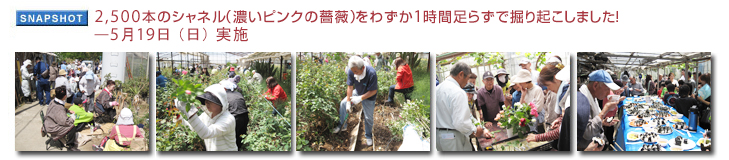 �w2,500�{�̃V���l���i�Z���s���N���K�N�j���킸��1���ԑ��炸�Ō@��N�����܂����I