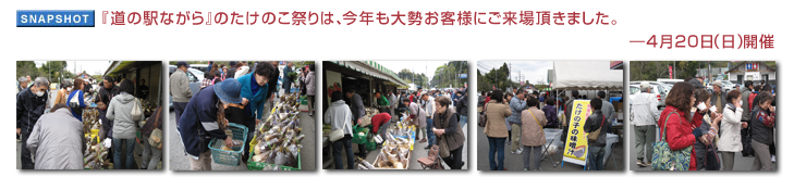 �w���̉w�Ȃ���x�̂����̂��Ղ�́A���N���吨���q�l�ɂ����꒸���܂����B�\ 4��20���i���j�J��