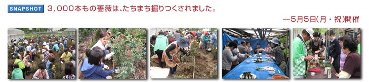 3,000�{�����K�N�́A�����܂��@�������܂����B�\ 5��5���i���E�j�j�J��