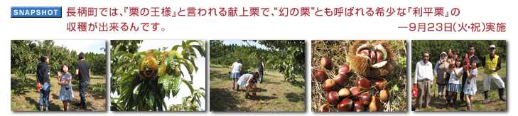 �������ł́A�w�I�̉��l�x�ƌ����錣��I�ŁA�g���̌I�h�Ƃ��Ă΂��󏭂ȁw�����I�x�̎��n���o�����ł��B�\ 9��23���i�΁E�j�j���{