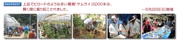 ��i�Ńr���[�h�̂悤�ȐԂ��K�N�w�T�����C�x3,000�{�́A�u���ԂɌ@��N������܂����B�\5��22���i���j�J��