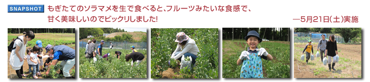 �������Ẵ\���}���𐶂ŐH�ׂ�ƁA�t���[�c�݂����ȐH���ŁA�Â����������̂Ńr�b�N�����܂����I�\5��21���i�y�j���{