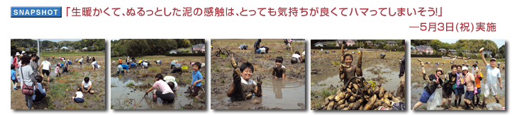 �u���g�����āA�ʂ���Ƃ����D�̊��G�́A�Ƃ��Ă��C�������ǂ��ăn�}���Ă��܂������I�v�\5��3��(�j)���{