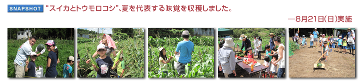 �X�C�J�ƃg�E�����R�V�h�A�Ă��\���閡�o�����n���܂����B