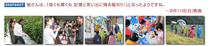 �F����́A�u�ǂ����������@�L���Ǝv���o�Ɏc����I�v�ƂȂ����悤�ł��ˁB