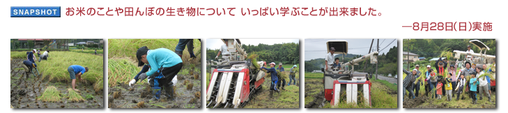 ���Ă̂��Ƃ�c��ڂ̐������ɂ��� �����ς��w�Ԃ��Ƃ��o���܂����B