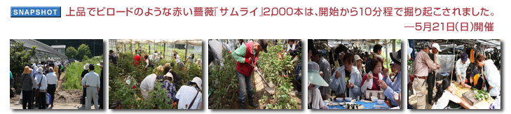 ��i�Ńr���[�h�̂悤�ȐԂ��K�N�w�T�����C�x2,000�{�́A�J�n����10�����Ō@��N������܂����B�\5��21���i���j�J��