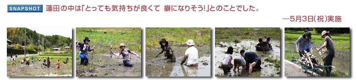 �@�c�̒��́u�Ƃ��Ă��C�������ǂ��� �ȂɂȂ肻��!�v�Ƃ̂��Ƃł����B�\5��3���i�j�j���{