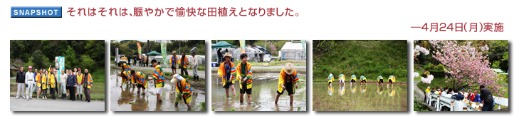 ����͂���́A���₩�Ŗ����ȓc�A���ƂȂ�܂����B�\4��24���i���j���{