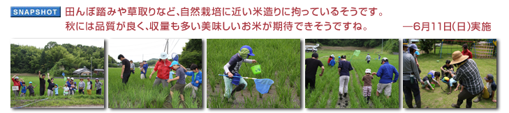 �c��ړ��݂⑐���ȂǁA���R�͔|�ɋ߂��đ���ɍS���Ă��邻���ł��B�H�ɂ͕i�����ǂ��A���ʂ����������������Ă����҂ł������ł��ˁB