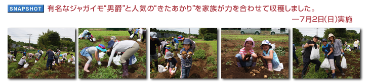 �L���ȃW���K�C���g�j�݁h�Ɛl�C�́g����������h���Ƒ����͂����킹�Ď��n���܂����B