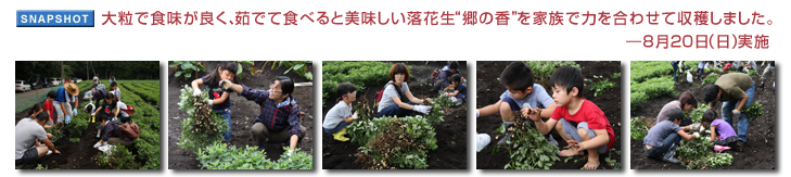 �嗱�ŐH�����ǂ��A䥂łĐH�ׂ�Ɣ����������Ԑ��g���̍��h���Ƒ��ŗ͂����킹�Ď��n���܂����B