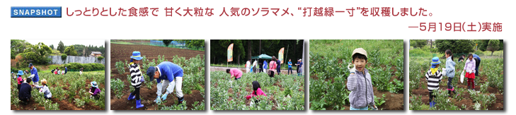 �����Ƃ�Ƃ����H���� �Â��嗱�� �l�C�̃\���}���A �g�ŉz�Έꐡ�h�����n���܂����B