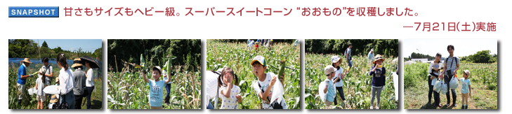 �Â����T�C�Y���w�r�[���B �X�[�p�[�X�C�[�g�R�[�� �g�������́h�����n���܂����B