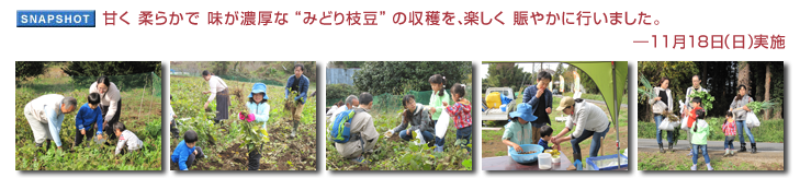 �Â� ���炩�� �����Z���� �g�݂ǂ�}���h �̎��n���A�y���� �ɂ��₩�ɍs���܂����B�\11��18���i���j���{