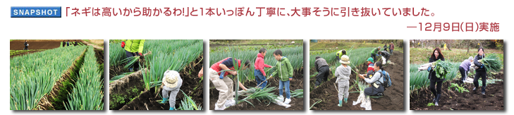 �u�l�M�͍������珕�����I�v��1�{�����ۂ񒚔J�ɁA�厖�����Ɉ��������Ă��܂����B�\12��9���i���j���{