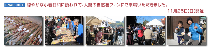 ���₩�ȏ��t���a�ɗU���āA�吨�̎��R���t�@���ɂ����ꂢ�������܂����B�\11��25���i���j�J��