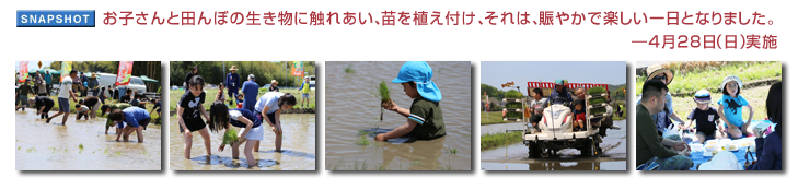 ���q����Ɠc��ڂ̐������ɐG�ꂠ���A�c��A���t���A����́A���₩�Ŋy��������ƂȂ�܂����B�\4��28���i���j���{