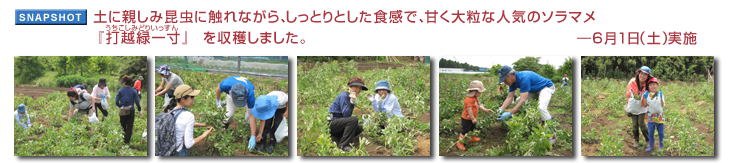 �y�ɐe���ݍ����ɐG��Ȃ���A�����Ƃ�Ƃ����H���ŁA�Â��嗱�Ȑl�C�̃\���}���w�ŉz�Έꐡ�i���������݂ǂ肢������j�x�����n���܂����B�\6��1���i�y�j���{