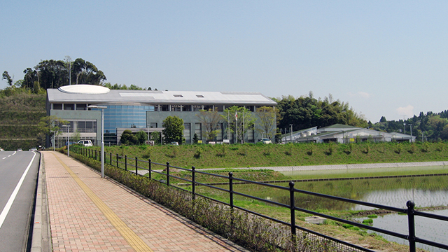 ��t��������