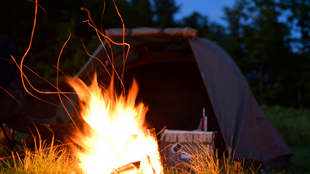 �L�����v�i���R�̌��j