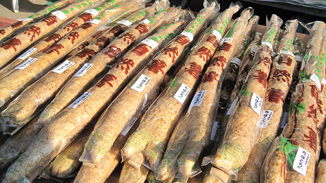 ���R���i���n�̌��j