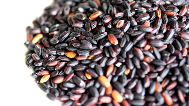 �Ñ�āi���n�̌��j