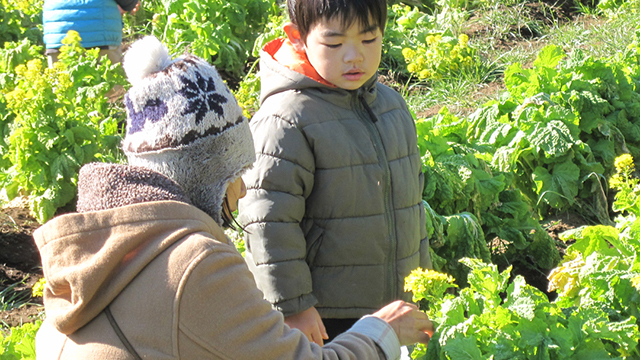 �I�n��؁i���n�̌��j