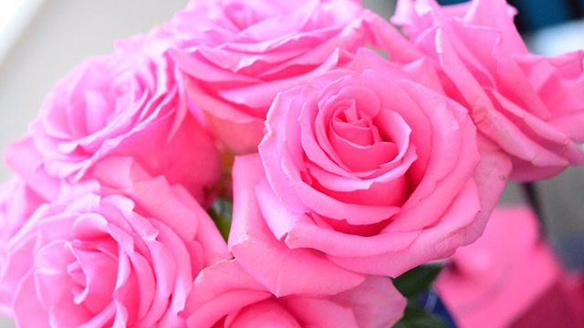 �K�N�i�E�ݎ��E���H�̌��j