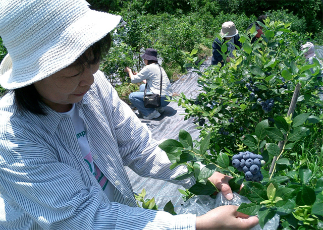 �u���[�x���[