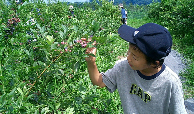 �u���[�x���[���̌�