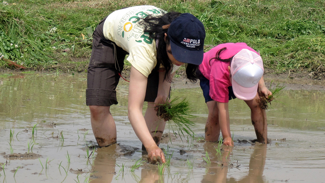 �c�A���̌�